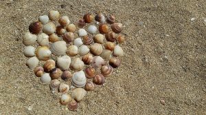 Heart made from seashells on beach