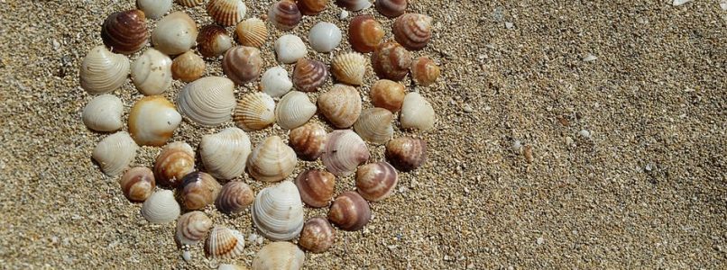 Heart made from seashells on beach