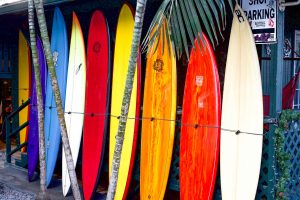 Colorful surfboards on display.