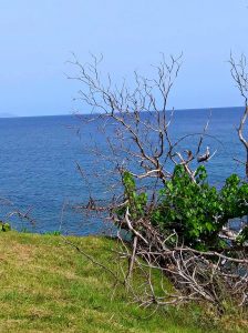 View of ocean from Rincon Puerto Rico