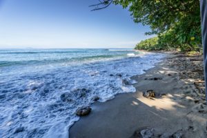 Tropical beach view from beach at Maria's Villa Puerto Rico