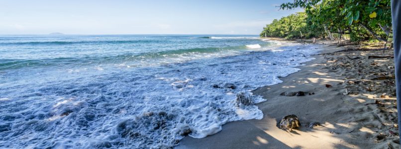 Tropical beach view from beach at Maria's Villa Puerto Rico