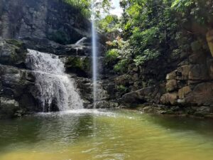 El Ultimo Brinco, Rincon PR