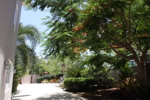 Tropical landscaped gardens at Maria's Luxury Villa