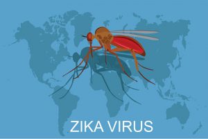 Graphic about Zika virus